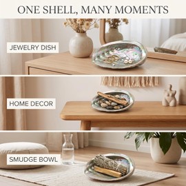 2 Pcs Large Abalone Shell Bowl 4-4.5 Inch Colorful Natural Smudge Bowl for Sage Burning and Incense Sea Shell Smudging Bowl for Decor and Display, Incense Holders
