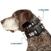 Buckle-Down Plastic Clip Collar - Dug 3-Poses/SQUIRREL! Brown/Yellow/White - 1"