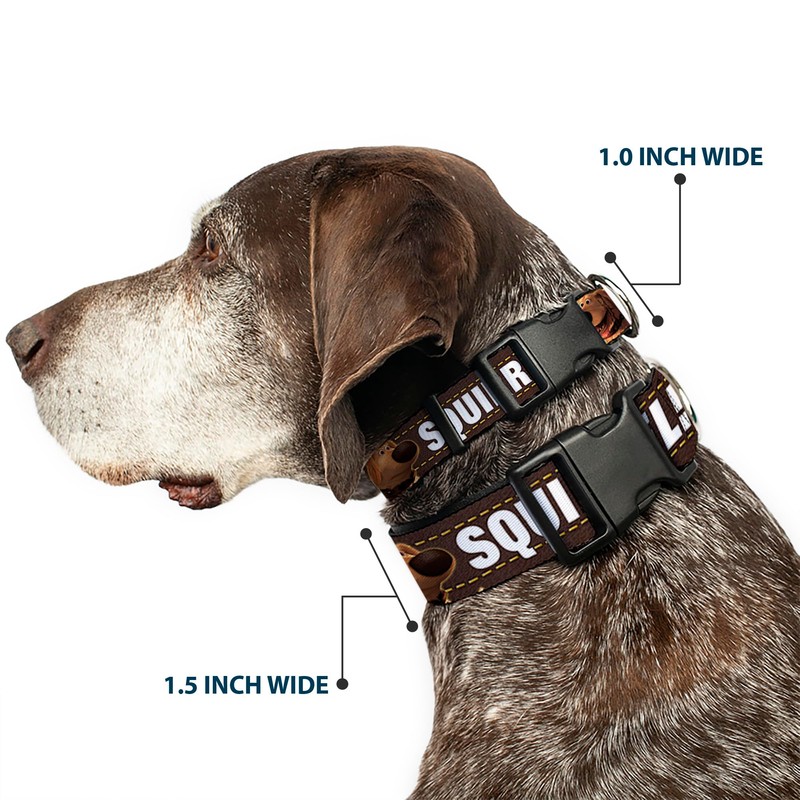 Buckle-Down Plastic Clip Collar - Dug 3-Poses/SQUIRREL! Brown/Yellow/White - 1"