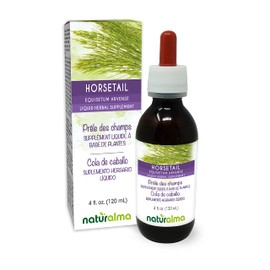 Horsetail (Equisetum arvense) herb Alcohol-Free Tincture Naturalma | 4 fl oz Liquid Extract in Drops | Herbal Supplement | Vegan | Product of Italy