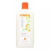 Andalou Naturals Shampoo Moisture Argan Sweet Orange 11.5oz (Pack of