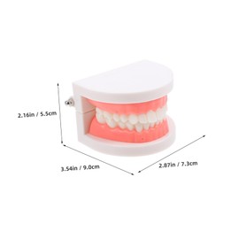 KICHOUSE Standard Size Dentals Model Tooth and Visible for Teaching and Learning Health