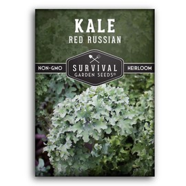 1 Pack Red Russian Kale Seed for Planting - Packet with Instructions to Grow Curly Ornamental & Edible Kale in Your Home Vegetable Garden - Non-GMO Heirloom Variety - Survival Garden Seeds