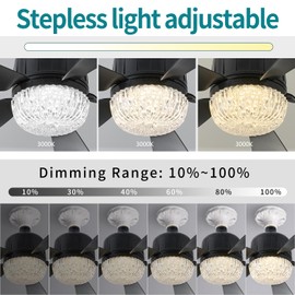 18" Socket Fan Light with Remote, Dimmable LED Ceiling Fans with Lights, Screw in Socekt Fans and 1 Socket Extender, 3 Colors 3000K-6500K, Replacement Light Bulb Fan for Kitchen Garage Bedroom, Black