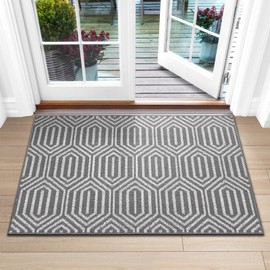 DEXI Indoor Doormat, Non Slip Absorbent Resist Dirt Entrance Rug, 36”x59” Large Size Machine Washable Low-Profile Inside Floor Door Mat