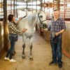 Horse Braiding Kit, Supplies-Easy Starter Set for Horse Braiding Beginners