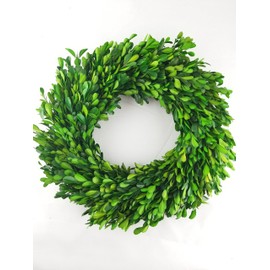 Tradingsmith Preserved Boxwood Wreath 12 in