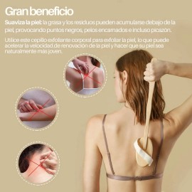 Cepillo Corporal En Seco Cerdas Naturales Mango Removible F