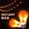 Himalayan Glow Natural Pink Salt LED Light Bulb, Warm Amber