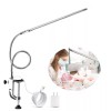 Brokimis Desk Light with Clamp, USB LED 8W Clip Nail