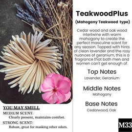 2 Pack Pick 80+Scents Car Air Freshener Hanging Car Diffuser Made in USA Last for 120 Days:_M33-TeakwoodPlus (Mahogany Teakwood Type)