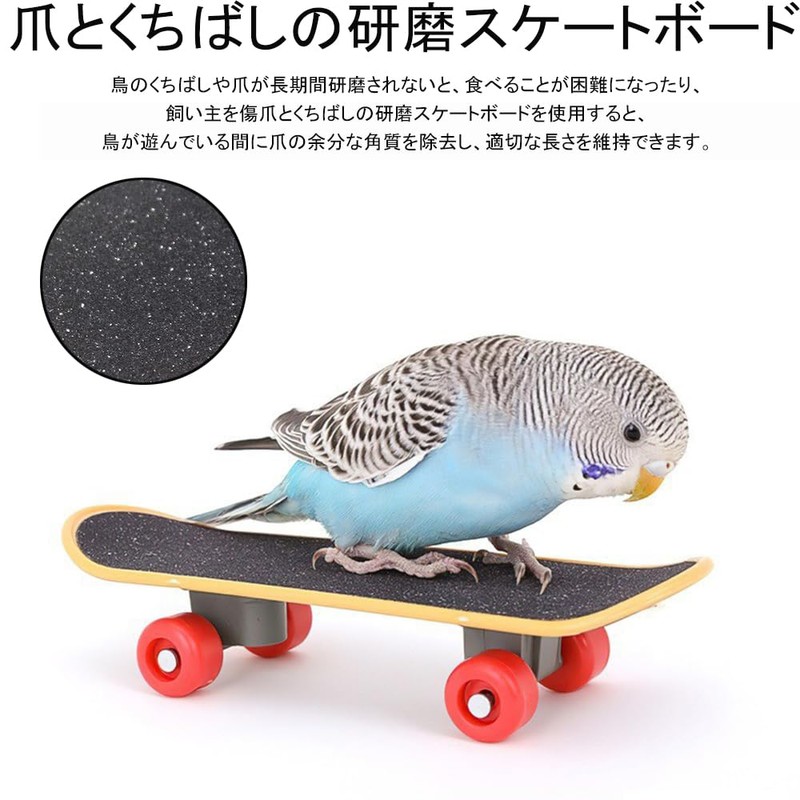 Phyxiul Bird Toy, Skateboard, Pet Supplies, Parakeet, Mini Skating Animal,