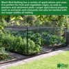 Elixir Gardens Heavy Duty Bird Netting | 1m x 10m