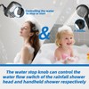Botare Black Shower Head with Handheld Spray Combo 2 in