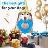 DAOZIJI Tough Dog Toys for Aggressive Chewers, Indestructible Chew Toys