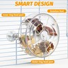 VCEPJH Rat Foraging Toy Interactive Slow Feeder with Transparent Rotating