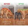 Adjustable Elevated Pet Feeder for Dogs and Cats – 3