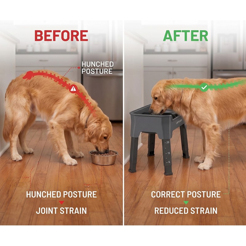 Adjustable Elevated Pet Feeder for Dogs and Cats – 3