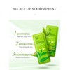 Matcha Tea Sleeping Face Mask Cream, 15 Pack x 3g,