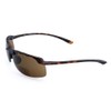 VITENZI Bifocal Sunglasses Semi Rimless Wraparound Reading Sun Tinted Glasses