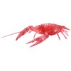 Fujimi Model Free Research Series No.24 EX-4 Ikimono Edition American Crawfish (Clear Red) Free Research - 24 EX-4