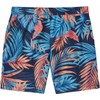Speedo Pantalones cortos de nataci n Hydro Volley para hombre