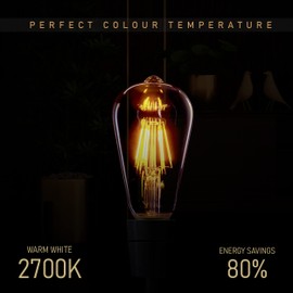 LEDSone Vintage LED E27 Bulb, ST64 8W(60 Equivalent), LED Filament Dimmable Screw Bulb, Warm White 2700K Amber Glass 800lm, Retro Style Energy Efficient Squirrel Cage Lighting - Pack of 10