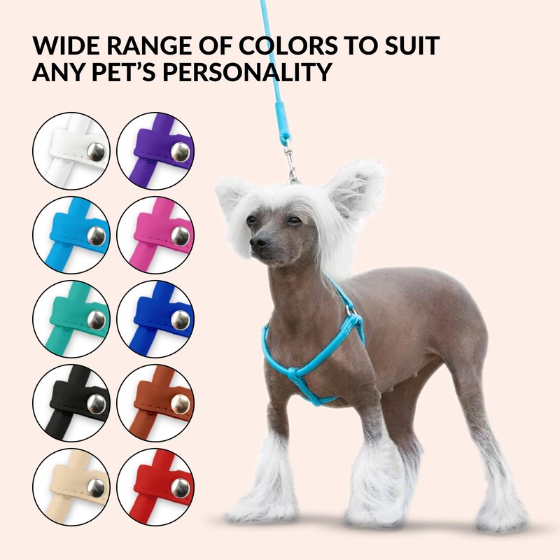 CollarDirect Rolled Leather Dog Harness Small Puppy Step-in Leash Lead