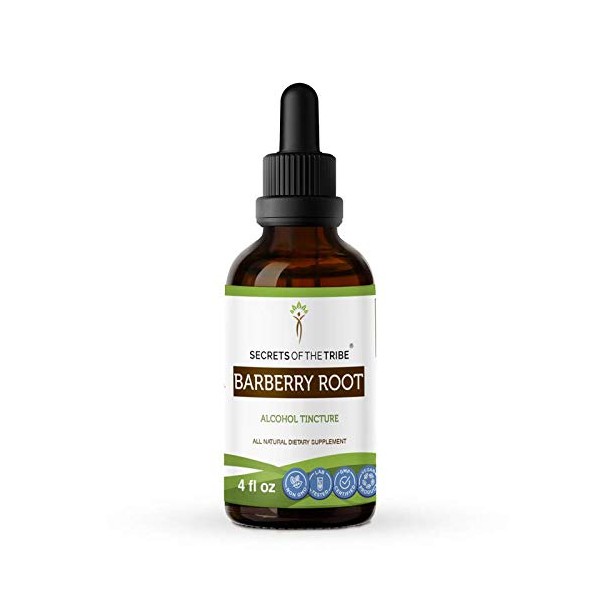 Barberry Root Tincture Alcohol Extract, Organic Barberry (Berberis Vulgaris) Dried Root Bark Tincture Supplement (4 FL OZ)