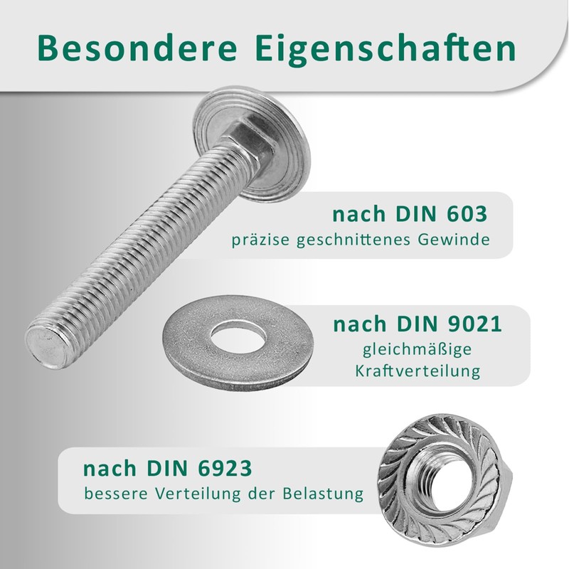 DSM - Carriage Bolts M6 x 120 mm DIN 603