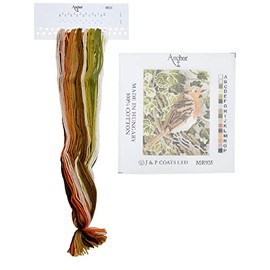 Anchor Starters Robin Tapestry Kit