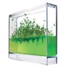 Monsterzeug Gel Greenhouse for Spices - Mini Plantarium for Herbs