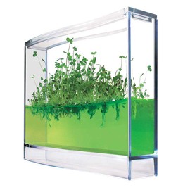 Monsterzeug Gel Greenhouse for Spices - Mini Plantarium for Herbs & Spices - To Plant Yourself - Small Experiment Set - Ecosystem