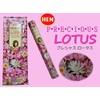 HEM(Hem)/Incense Stick/Precious Slotas/Case (Box of 20 x 6 Boxes)