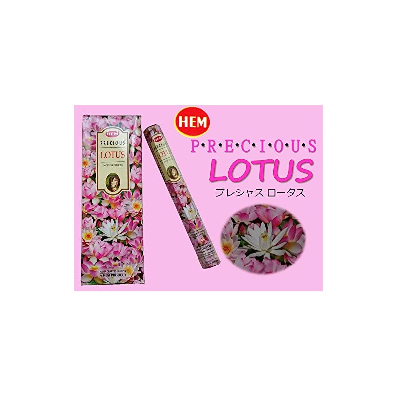HEM(Hem)/Incense Stick/Precious Slotas/Case (Box of 20 x 6 Boxes)