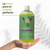 Shampoo Con Extracto De Nopal Revitalizante Productos Mart Mexico 500