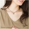 Leger T25 Dolphin Dolphin Pendant, Titanium Top, Made in Japan,