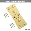 TERF® Heavy Duty Polished Brass Counter Flap Hinges 100mm X