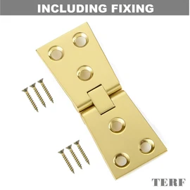 TERF® Heavy Duty Polished Brass Counter Flap Hinges 100mm X 32mm (4'' X 1 1/4'') Counterflap Hinge use for Pub Bar Shop Counter Flap Hatch Open Up Fittings including Fixing Screw - Pack of 4