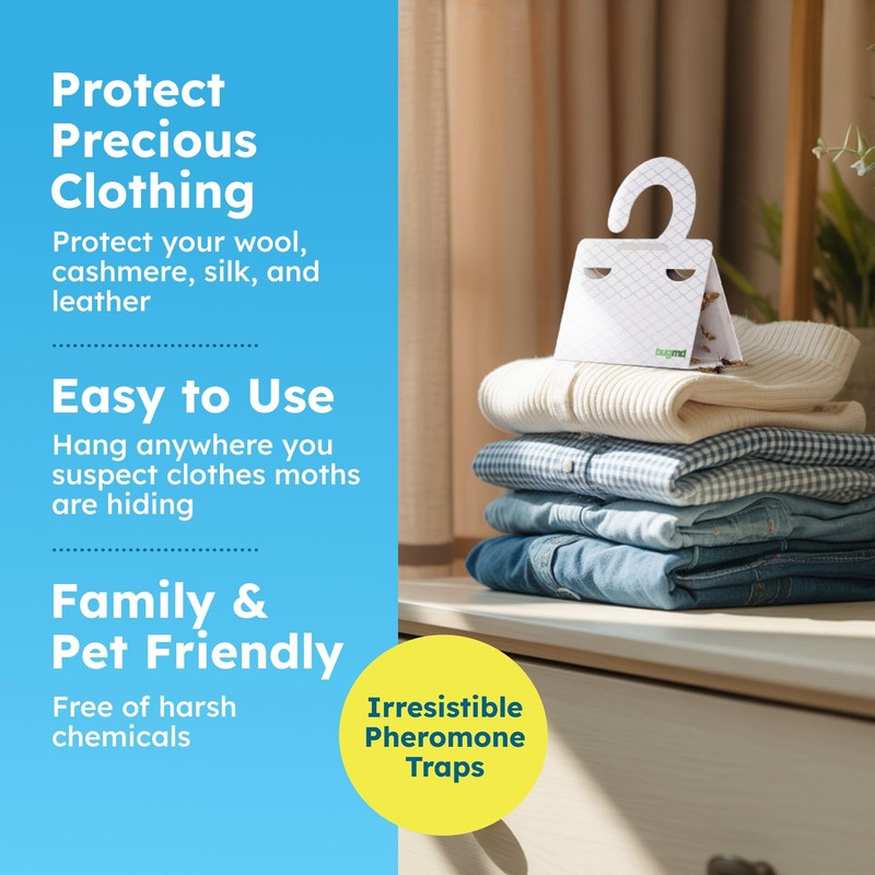 BugMD Clothes & Pantry Moth Traps (6 Count) – Sticky