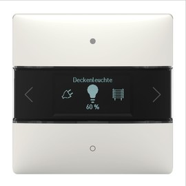 Theben 4800418 LUXORliving iON8 I Room Controller with Integrated Room Temperature Controller and 10 Functions I For KNX Smart Home System LUXORliving