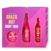 Trader Joe's NEW Boxed TRADER JOES 2024 Brazil Nut Body