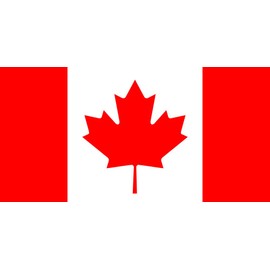 TENNER.LONDON Set of 5 Canadian Flag Iron on Screen Print Fabric Applique Machine Washable Transfer Canada