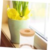 Abaodam 4pcs Transparent Hydroponic Planter Pots Imitation Glass Small Flower