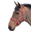 Shires Topaz Nylon Headcollar-Red Cob