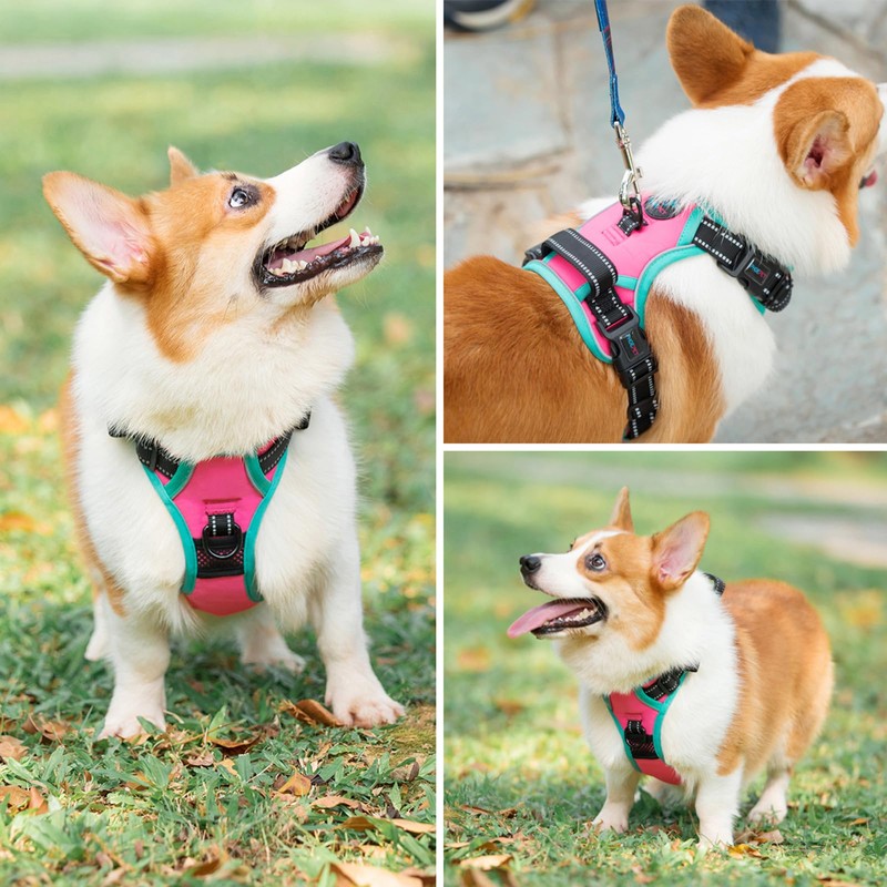PHOEPET Adjustable No Pull Safety Dog Harness for Medium and