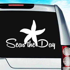 Seas The Day Starfish Sea Star Vinyl Decal Sticker Bumper Cling for Car Truck Window Laptop Wall Cooler Tumbler | Die-Cut/No Background | Multi Sizes/Colors, 14-inch, Pink