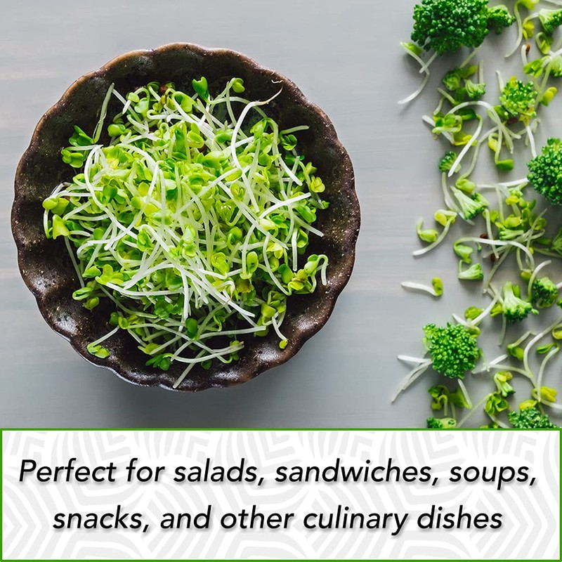 1 lb Broccoli Sprouting Seeds - Perfect for Sprouting &