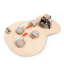 Golden Age Pre-wired Harness for Gibson Les Paul with Long-Shaft CTS Pots