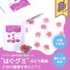 はぐグミ ぶどう味 歯医者専用 キシリトール100% グミ 砂糖不使用 ダイエットお菓子 こども ぶどう味 個包装
